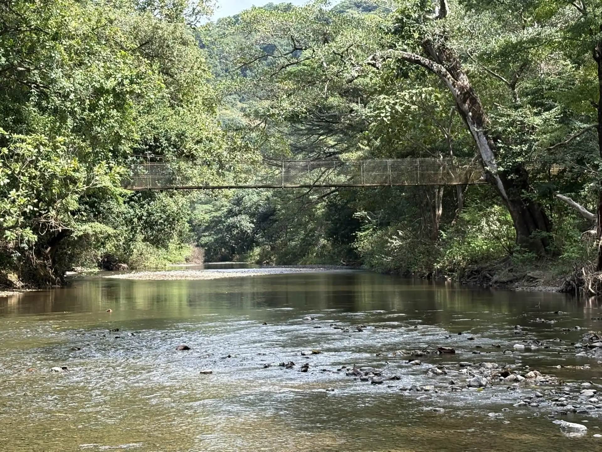 Río Tabaco con el puente de hamaca entre los árboles