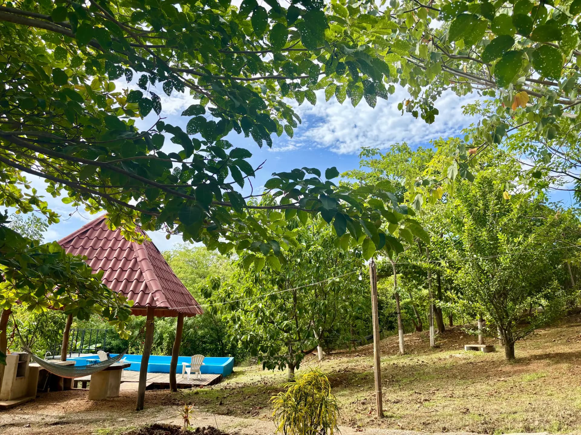 Jardín con el rancho y la piscina entre árboles